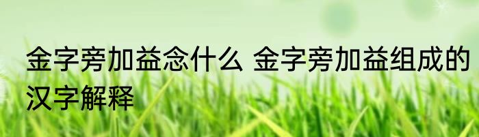 金字旁加益念什么 金字旁加益组成的汉字解释