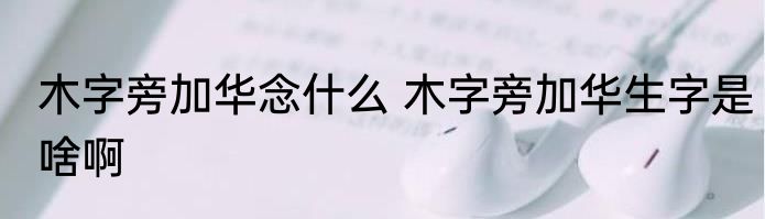 木字旁加华念什么 木字旁加华生字是啥啊