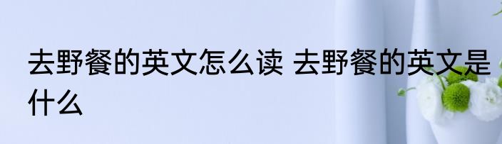 去野餐的英文怎么读 去野餐的英文是什么