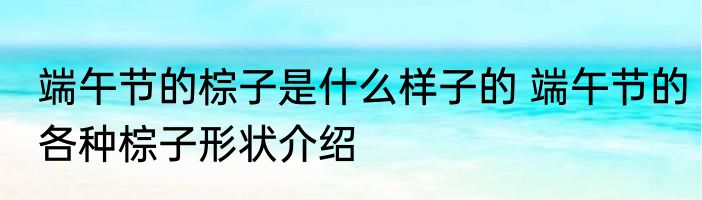 端午节的棕子是什么样子的 端午节的各种棕子形状介绍