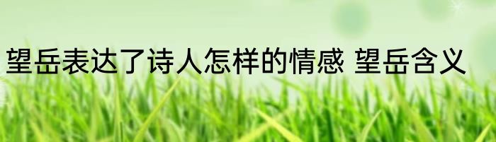望岳表达了诗人怎样的情感 望岳含义