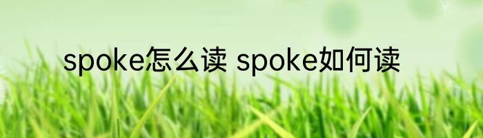 spoke怎么读 spoke如何读
