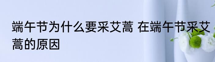端午节为什么要采艾蒿 在端午节采艾蒿的原因