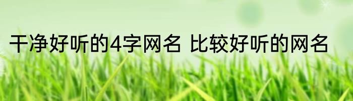 干净好听的4字网名 比较好听的网名