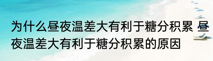 为什么昼夜温差大有利于糖分积累 昼夜温差大有利于糖分积累的原因