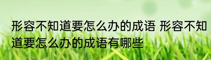 形容不知道要怎么办的成语 形容不知道要怎么办的成语有哪些