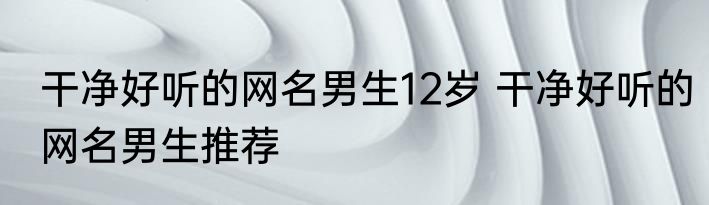 干净好听的网名男生12岁 干净好听的网名男生推荐