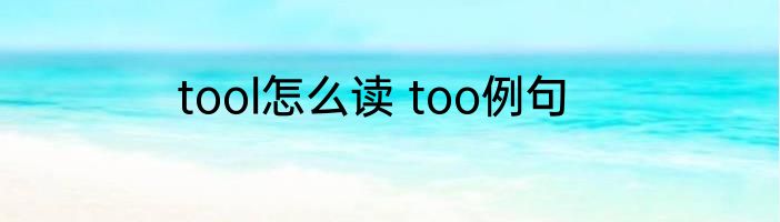 tool怎么读 too例句