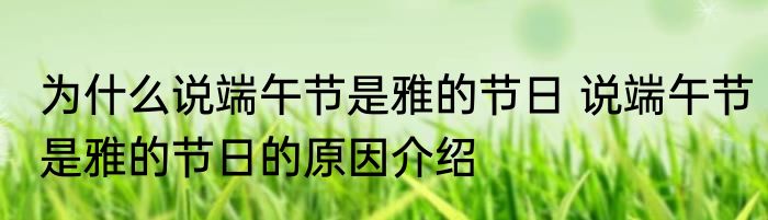 为什么说端午节是雅的节日 说端午节是雅的节日的原因介绍
