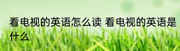 看电视的英语怎么读 看电视的英语是什么