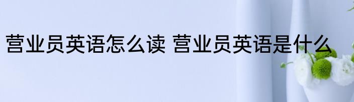 营业员英语怎么读 营业员英语是什么