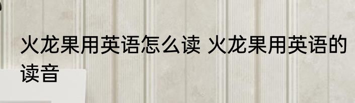 火龙果用英语怎么读 火龙果用英语的读音