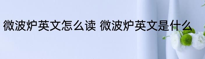 微波炉英文怎么读 微波炉英文是什么