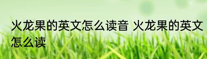 火龙果的英文怎么读音 火龙果的英文怎么读
