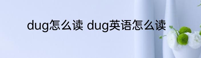 dug怎么读 dug英语怎么读