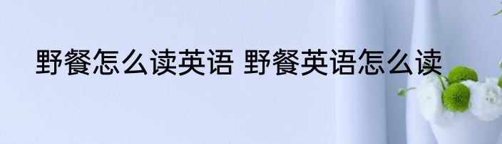 野餐怎么读英语 野餐英语怎么读