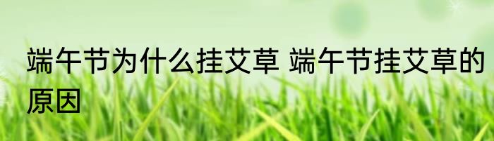 端午节为什么挂艾草 端午节挂艾草的原因