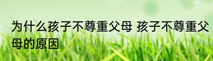 为什么孩子不尊重父母 孩子不尊重父母的原因