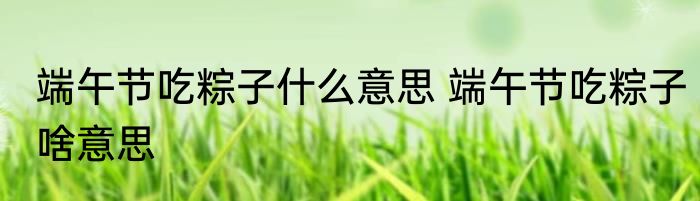 端午节吃粽子什么意思 端午节吃粽子啥意思