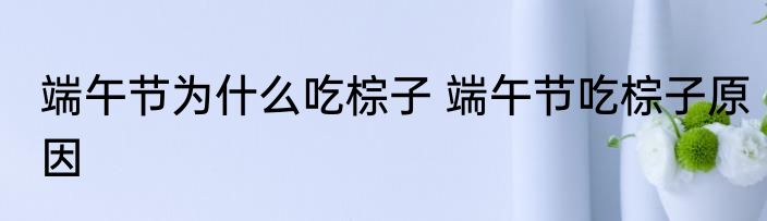 端午节为什么吃棕子 端午节吃棕子原因