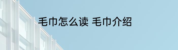 毛巾怎么读 毛巾介绍