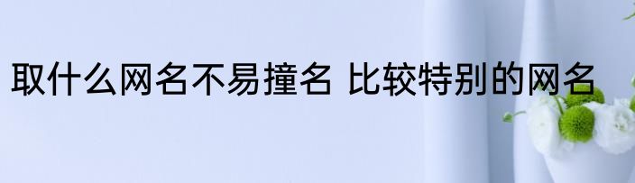 取什么网名不易撞名 比较特别的网名