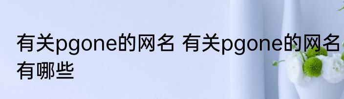 有关pgone的网名 有关pgone的网名有哪些