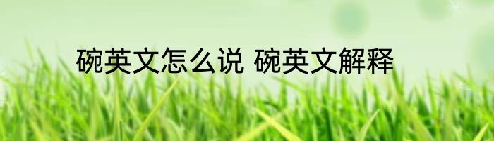 碗英文怎么说 碗英文解释