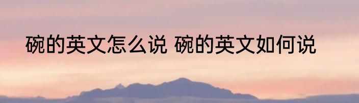 碗的英文怎么说 碗的英文如何说