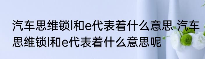 汽车思维锁l和e代表着什么意思 汽车思维锁l和e代表着什么意思呢