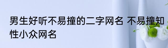 男生好听不易撞的二字网名 不易撞知性小众网名