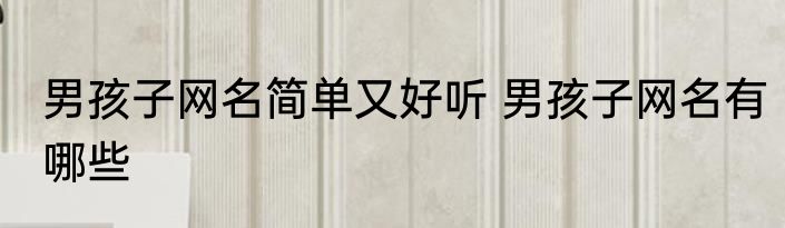 男孩子网名简单又好听 男孩子网名有哪些