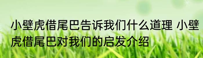 小壁虎借尾巴告诉我们什么道理 小壁虎借尾巴对我们的启发介绍