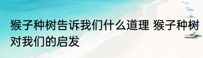 猴子种树告诉我们什么道理 猴子种树对我们的启发