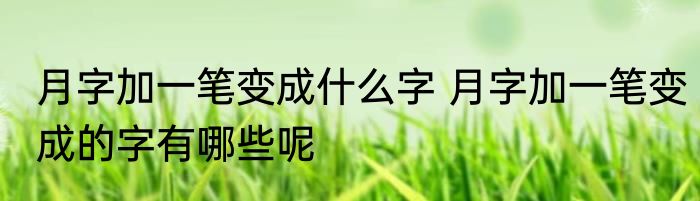 月字加一笔变成什么字 月字加一笔变成的字有哪些呢