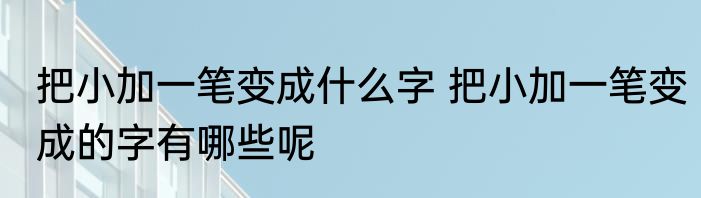 把小加一笔变成什么字 把小加一笔变成的字有哪些呢