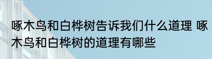啄木鸟和白桦树告诉我们什么道理 啄木鸟和白桦树的道理有哪些