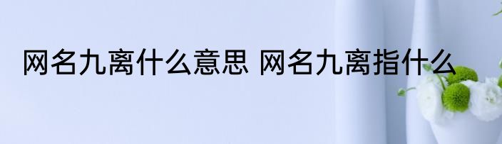 网名九离什么意思 网名九离指什么