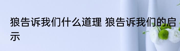 狼告诉我们什么道理 狼告诉我们的启示