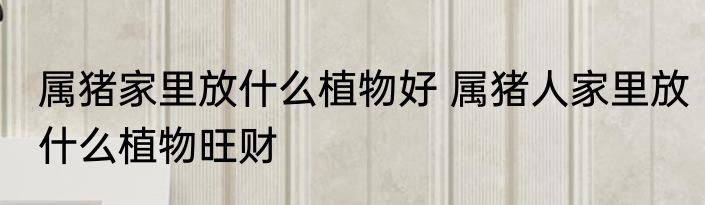 属猪家里放什么植物好 属猪人家里放什么植物旺财