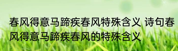 春风得意马蹄疾春风特殊含义 诗句春风得意马蹄疾春风的特殊含义