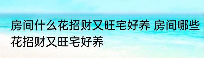 房间什么花招财又旺宅好养 房间哪些花招财又旺宅好养