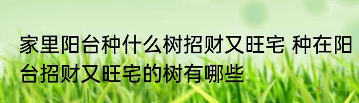 家里阳台种什么树招财又旺宅 种在阳台招财又旺宅的树有哪些