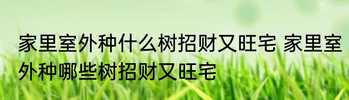 家里室外种什么树招财又旺宅 家里室外种哪些树招财又旺宅