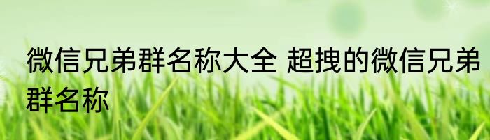 微信兄弟群名称大全 超拽的微信兄弟群名称