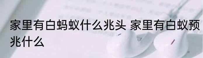 家里有白蚂蚁什么兆头 家里有白蚁预兆什么