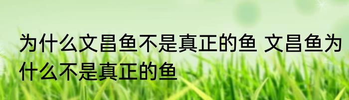 为什么文昌鱼不是真正的鱼 文昌鱼为什么不是真正的鱼