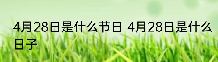 4月28日是什么节日 4月28日是什么日子