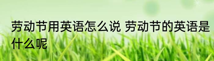 劳动节用英语怎么说 劳动节的英语是什么呢