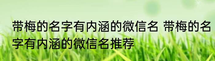 带梅的名字有内涵的微信名 带梅的名字有内涵的微信名推荐